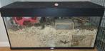 Juwel Rio 100x40x50 /tamme goudhamster aquarium!, Ophalen, Zo goed als nieuw, 90 cm of meer, Rat