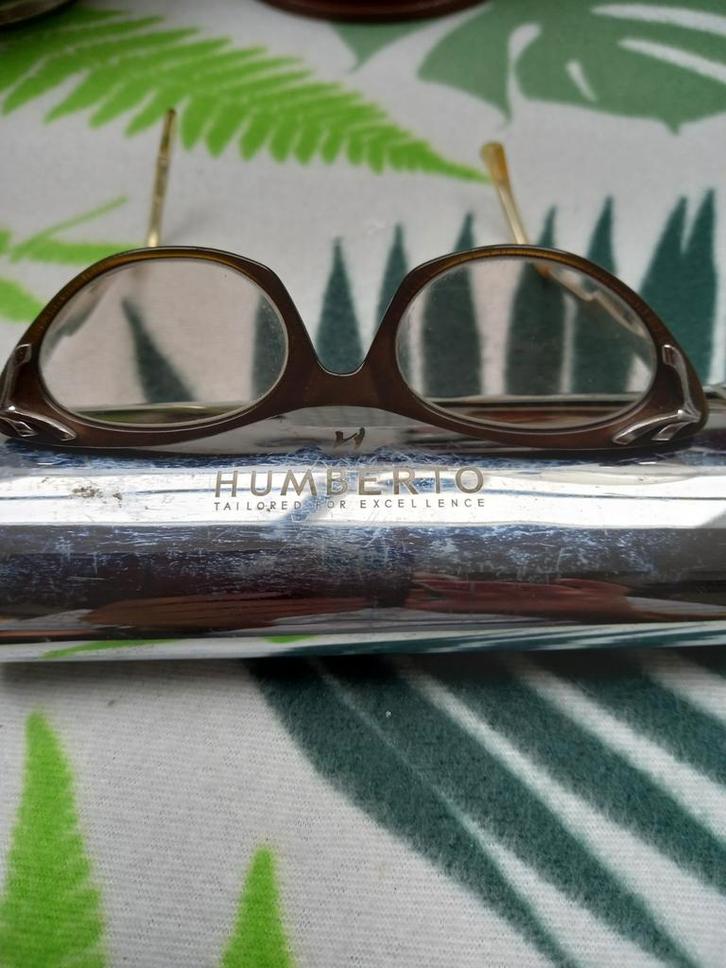 Zonnebril, dames in brillenkoker van Humberto., Sieraden, Tassen en Uiterlijk, Zonnebrillen en Brillen | Dames, Gebruikt, Zonnebril