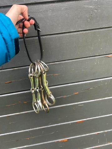 Paarden bitjes beschikbaar voor biedingen