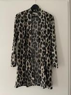 Vest Transfer maat M, Maat 38/40 (M), Overige kleuren, Ophalen of Verzenden, Zo goed als nieuw