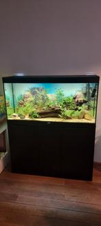 Aquatlantis Splendid 120 Ultra aquarium, Dieren en Toebehoren, Vissen | Aquaria en Toebehoren, Ophalen, Gebruikt, Gevuld zoetwateraquarium