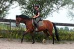 Stevige getalenteerde E pony merrie, 3 tot 6 jaar, Gechipt, Onbeleerd, Recreatiepony