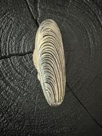 Zilveren Pillendoosje Mosselvorm 800 Keurmerk, Antiek en Kunst, Ophalen of Verzenden, Zilver