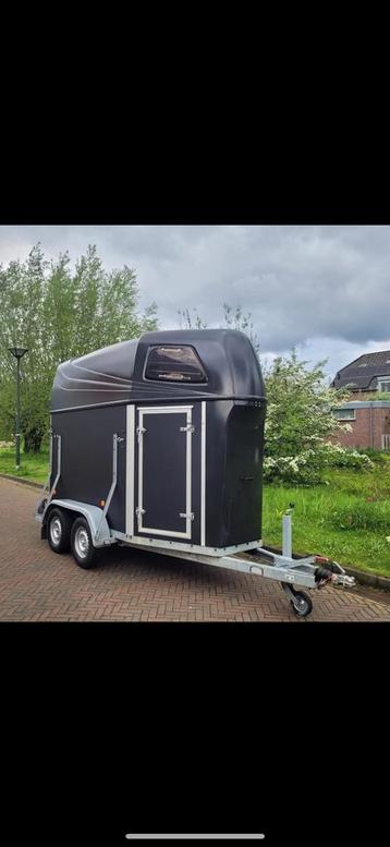 Ruime 1,5 paards Hotra Salinero trailer nieuwe opbouw 2024 beschikbaar voor biedingen
