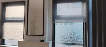 2 Sets IKEA SKOGSKLÖVER Rolgordijnen Grijs beschikbaar voor biedingen