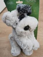 Nieuw Famosa knuffel hond, Ophalen of Verzenden, Nieuw, Hond