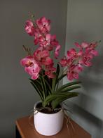 Vanda plant zijde Rose, Ophalen of Verzenden, Nieuw