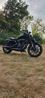 Harley Davidson Sportster Roadster XL1200 CX, Particulier, Chopper