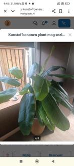 Nep kunstof bananenplant, Ophalen, Overige soorten, In pot, Minder dan 100 cm