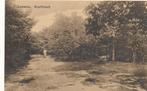 9279 Lunteren, Buurtbosch, Verzamelen, Ansichtkaarten | Nederland, Ophalen of Verzenden, 1920 tot 1940, Gelderland