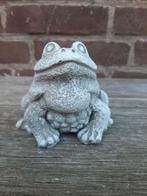 Kikker betonnen beeld tuinbeeld beton beeldje, Tuin en Terras, Tuinbeelden, Ophalen of Verzenden, Nieuw