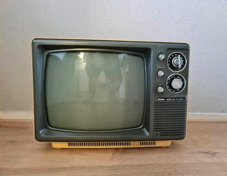 Vintage Zwart-Wit TV uit de jaren '70, Audio, Tv en Foto, Vintage Televisies, Gebruikt, Minder dan 40 cm, Overige merken, Ophalen