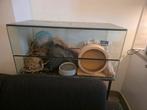 Hamsterkooi / Terrarium, Dieren en Toebehoren, Kooi, Gebruikt, Hamster, 75 tot 110 cm
