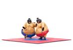 Te Huur: Sumoworstelen Spel Volwassenen Sumoworstelpak Sumo, Hobby en Vrije tijd, Ophalen, Zo goed als nieuw, Verjaardag