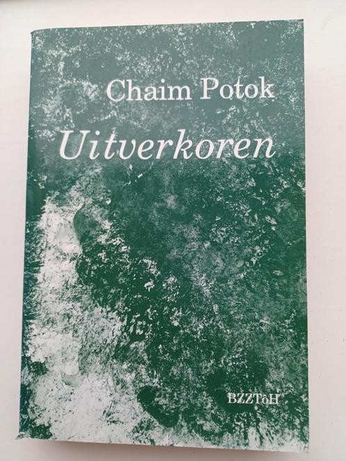 Uitverkoren, Boeken, Romans, Gelezen, Nederland, Ophalen of Verzenden
