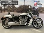 Harley-Davidson Vrscf 1250 V-ROD MUSCLE, Motoren, Motoren | Harley-Davidson, Chopper, Bedrijf, Meer dan 35 kW, 1247 cc