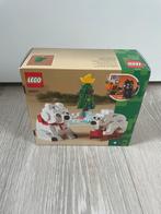 Lego 40571 Ijsberen in de winter NIEUW, Nieuw, Complete set, Ophalen of Verzenden, Lego