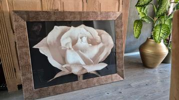 Groot schilderij roos/De Boet beschikbaar voor biedingen