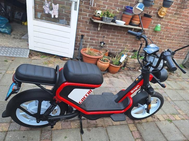 Electrische snor brommer blauw kenteken, Fietsen en Brommers, Brommers | Crossbrommers, Nieuw, Overige merken, Ophalen