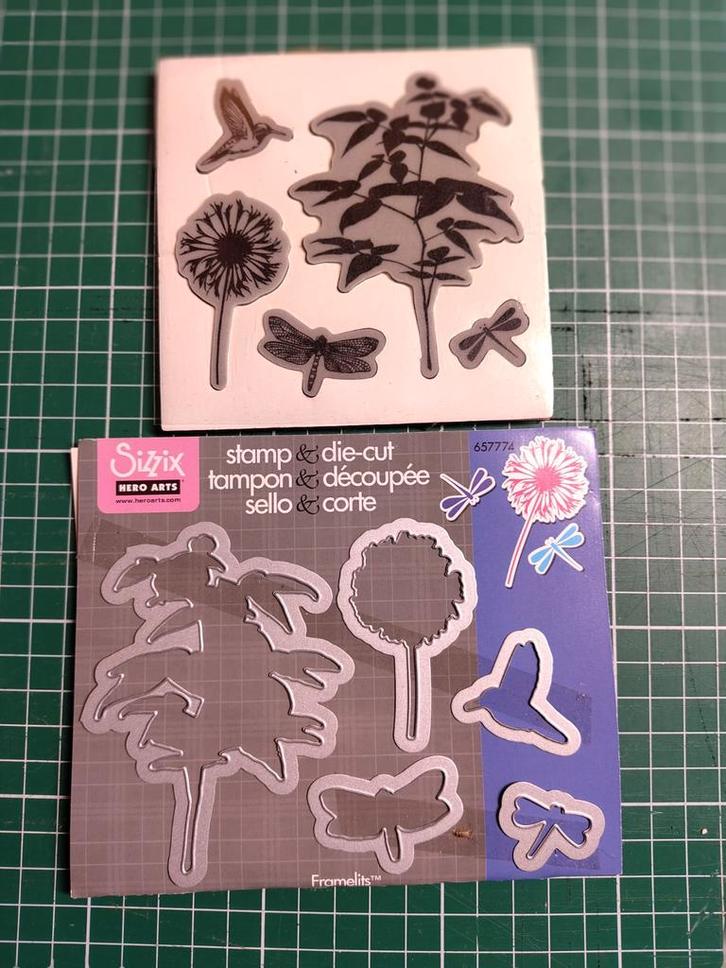 Sizzix Stempels en Stanzen Set - Natuur Thema, Hobby en Vrije tijd, Scrapbooking, Zo goed als nieuw, Frame of Mal, Sizzix, Ophalen of Verzenden