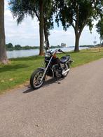 Honda VT 500C, 2 cilinders, Chopper, Particulier, Meer dan 35 kW