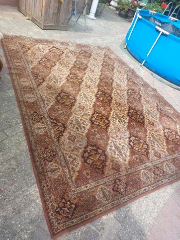 Tapijt in bruintinten 340 x 250 beschikbaar voor biedingen