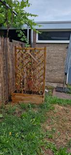 Hardhouten plantenbak, gevuld, Tuin en Terras, Ophalen, Zo goed als nieuw, Hout