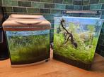 2x kleine garnalen aquarium met veel extra's!, Ophalen, Gebruikt, Gevuld zoetwateraquarium