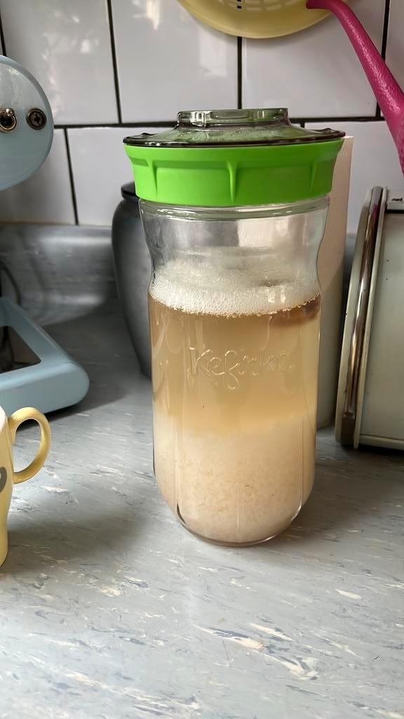 Gratis water kefir korrels, Diversen, Levensmiddelen, Ophalen