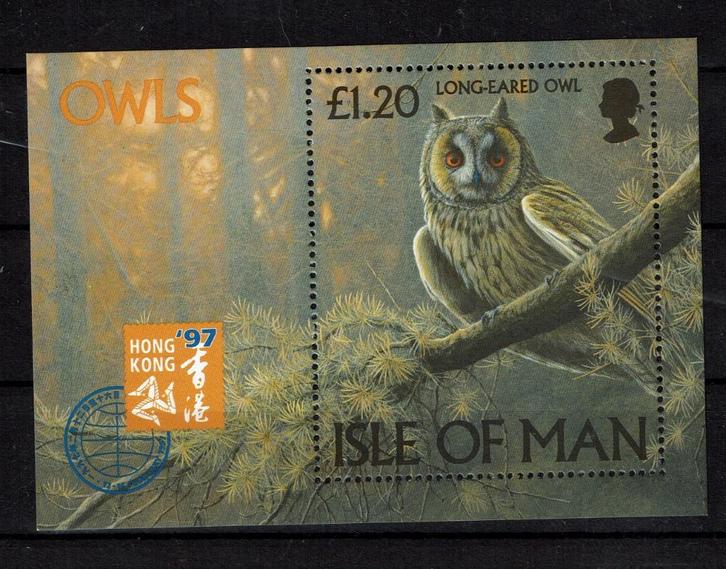 isle of man 1997 pf blok uilen vogels owls birds of prey, Postzegels en Munten, Postzegels | Thematische zegels, Postfris, Dier of Natuur