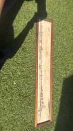 schilderij van Dordrecht, Ophalen