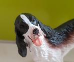 Springer Spaniel - Schaal 1:12 (Nieuw), Verzenden, Nieuw, Decoratie