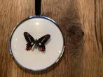 Vlinder in zilverkleurige lijst, Ophalen of Verzenden, Zo goed als nieuw