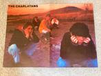 Poster A2 formaat THE CHARLATANS, Ophalen of Verzenden