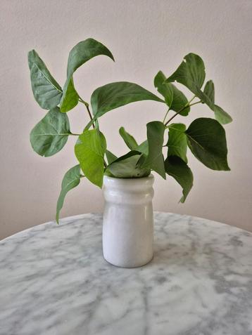 Vintage carrara marmeren vaasje potje plantenpot bloemenvaas beschikbaar voor biedingen