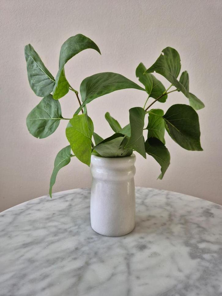 Vintage carrara marmeren vaasje potje plantenpot bloemenvaas, Huis en Inrichting, Woonaccessoires | Vazen, Zo goed als nieuw, Wit