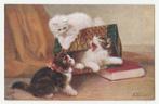 Poezen.  Illustrateurs.  Cats.   Kittens., Verzamelen, Ansichtkaarten | Themakaarten, Overige thema's, Ongelopen, Voor 1920, Verzenden