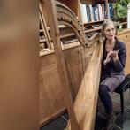 Harp 41 darmsnaren, Ophalen, Gebruikt