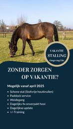 Vakantiestalling omgeving Ede, Dieren en Toebehoren, Stalling en Weidegang, Weidegang, 2 of 3 paarden of pony's