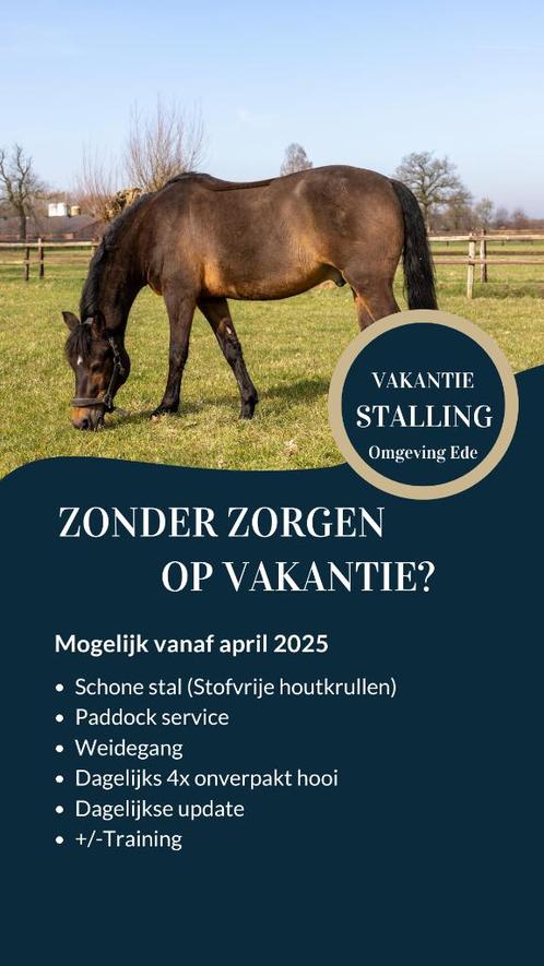 Vakantiestalling omgeving Ede, Dieren en Toebehoren, Stalling en Weidegang, Stalling, Weidegang, 2 of 3 paarden of pony's