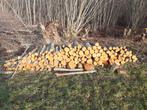 Haardhout, Tuin en Terras, Haardhout, 6 m³ of meer, Ophalen, Elzenhout, Blokken