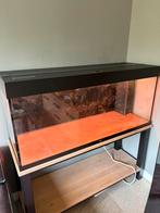Juwel rio led 240, Ophalen of Verzenden, Gebruikt, Leeg aquarium