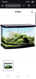Aquariums

Duvo + Aquarium panorama vs60 met accessoires, Dieren en Toebehoren, Vissen | Aquaria en Toebehoren, Ophalen, Zo goed als nieuw