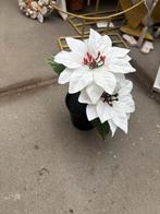 Kerstster, Diversen, Kerst, Ophalen, Nieuw