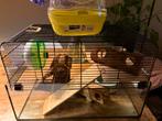 Hamster kooi, Dieren en Toebehoren, Knaagdieren en Konijnen | Hokken en Kooien, Kooi, Minder dan 75 cm, Zo goed als nieuw, Hamster
