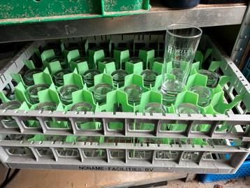 Heineken Bierglazen, Wild lager fluitjes beschikbaar voor biedingen