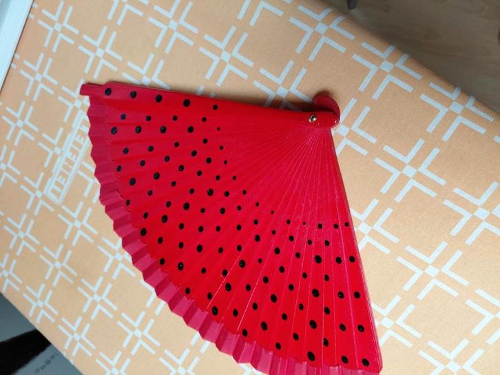 Spaanse waaiers en spaanse sieraden, Kleding | Dames, Carnavalskleding en Feestkleding, Zo goed als nieuw, Carnaval, Ophalen of Verzenden