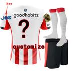 PSV Tenue, Ophalen of Verzenden, Nieuw, Shirt
