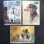 Pollyanna Pickering kaarten Dobermann Collie Bull Terrier, Verzamelen, Ansichtkaarten | Dieren, Ophalen of Verzenden, 1980 tot heden