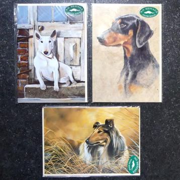 Pollyanna Pickering kaarten Dobermann Collie Bull Terrier beschikbaar voor biedingen